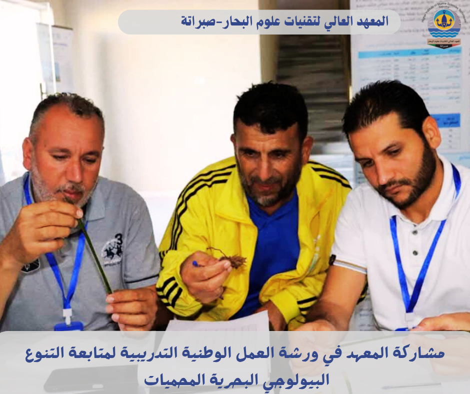 8_20251012_193312_٠٠٠٧