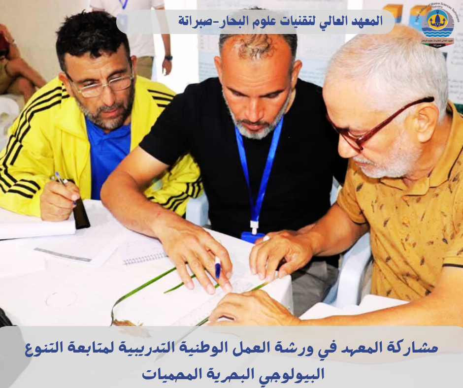 9_20251012_193312_٠٠٠٨